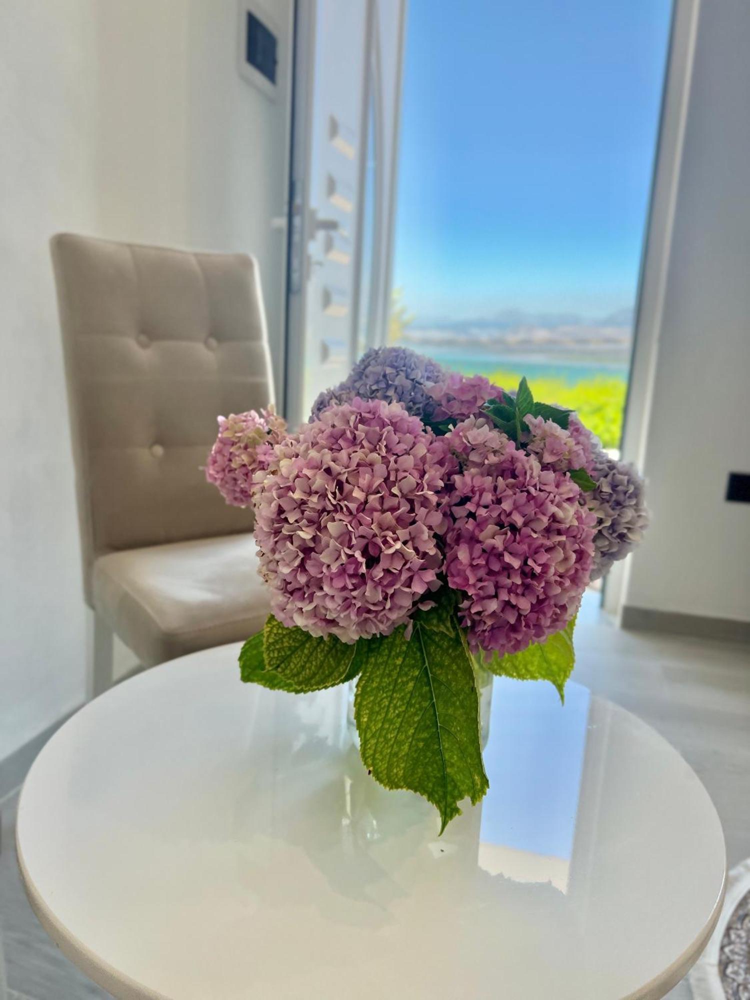 Široka Iart Residence מראה חיצוני תמונה