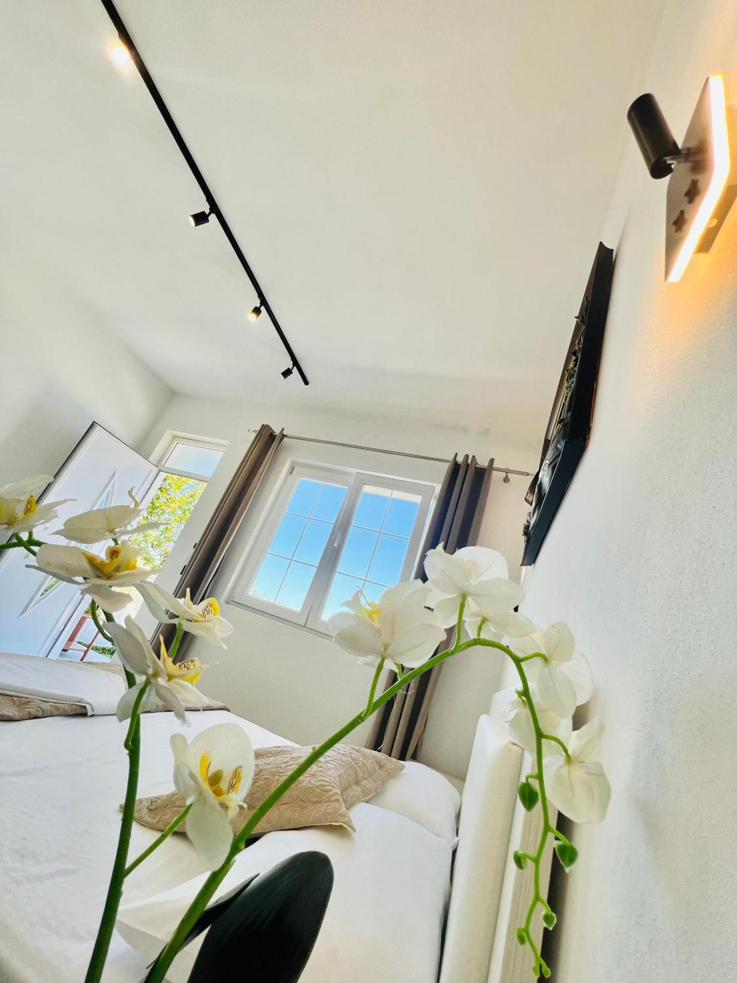 Široka Iart Residence מראה חיצוני תמונה