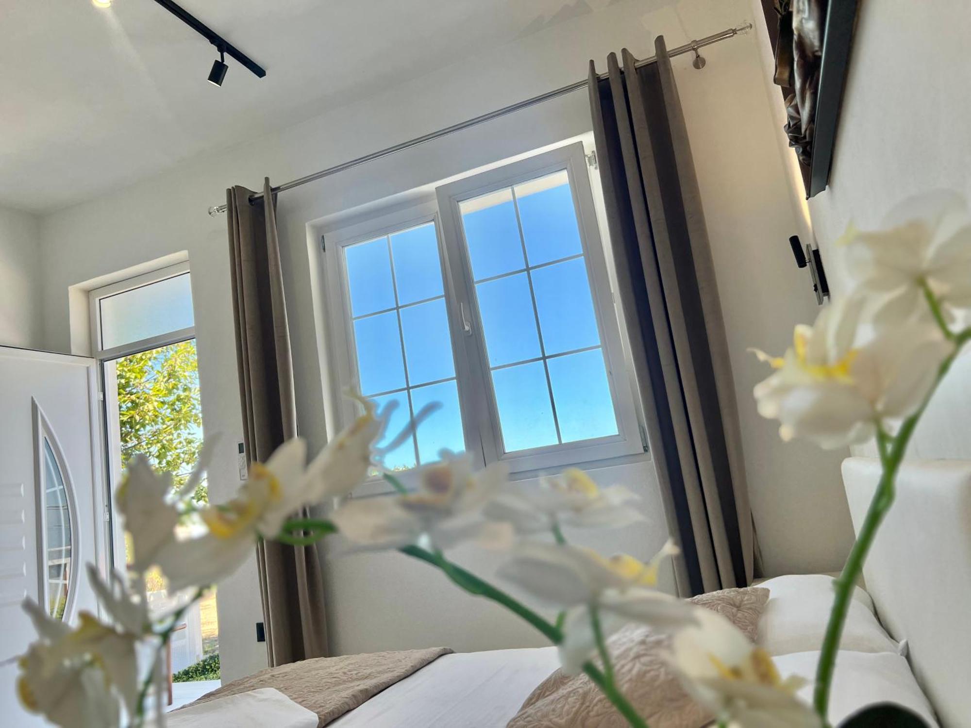 Široka Iart Residence מראה חיצוני תמונה