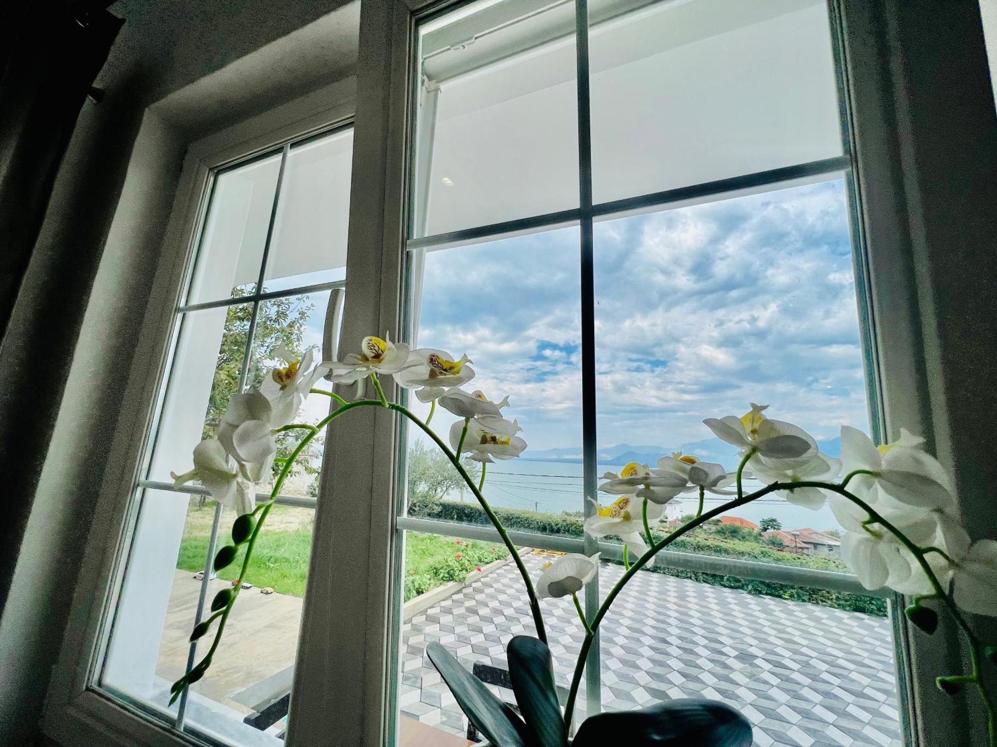 Široka Iart Residence מראה חיצוני תמונה