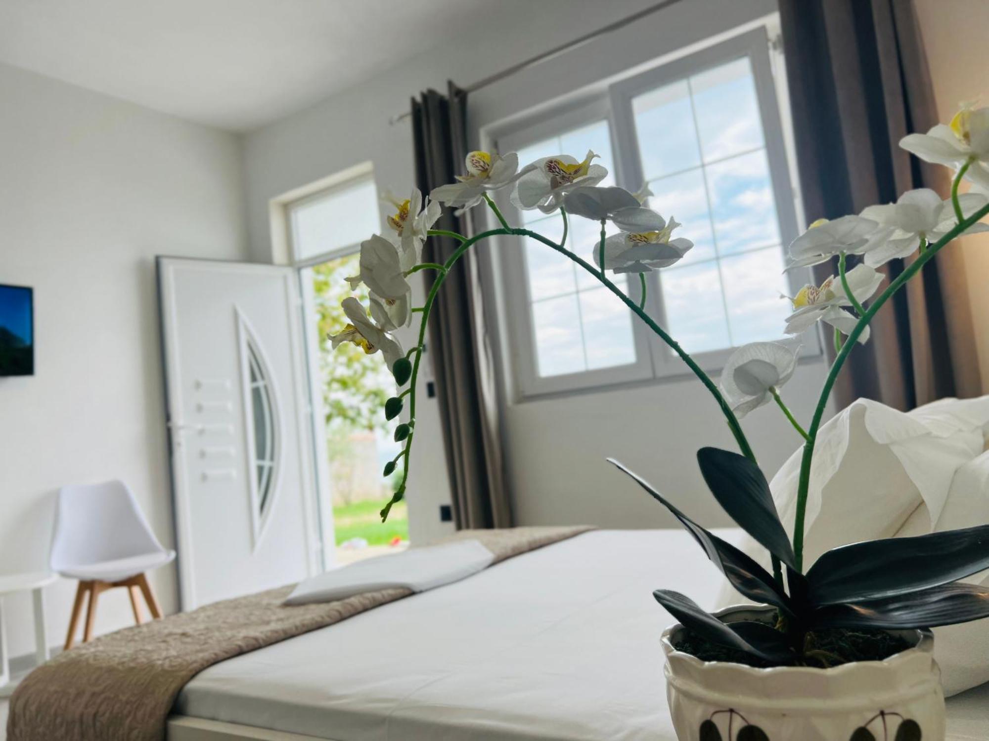 Široka Iart Residence מראה חיצוני תמונה